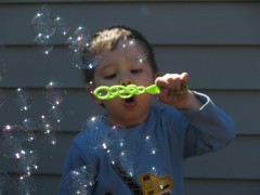 soap bubble mesebetsi